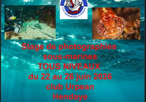 STAGE PV HENDAYE 2026