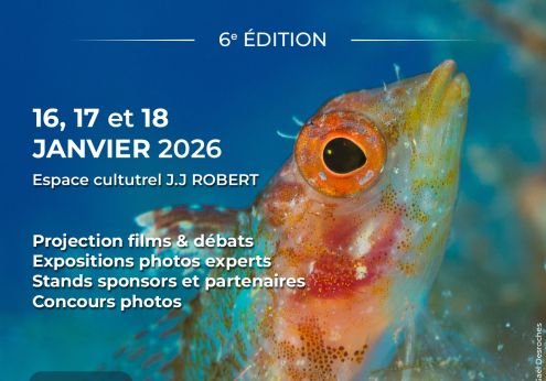 FESTIVAL IMAGE SOUS MARINE MENNECY