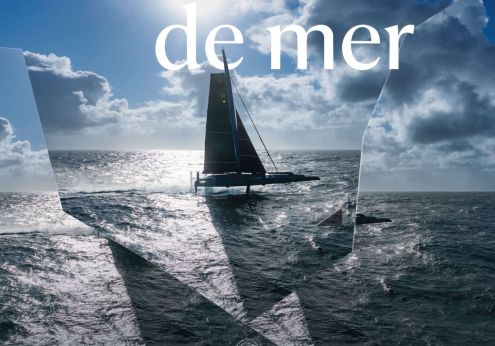 festivalsousmarin-bretagne.fr