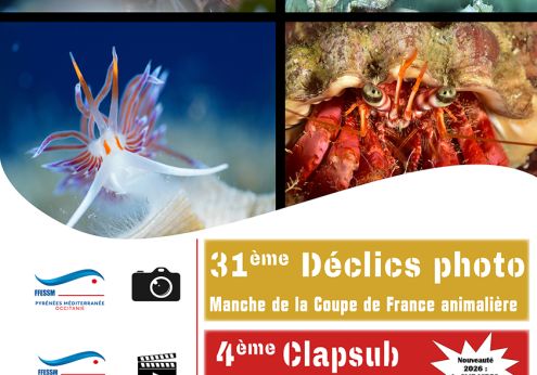 Affiche st cyr 2026