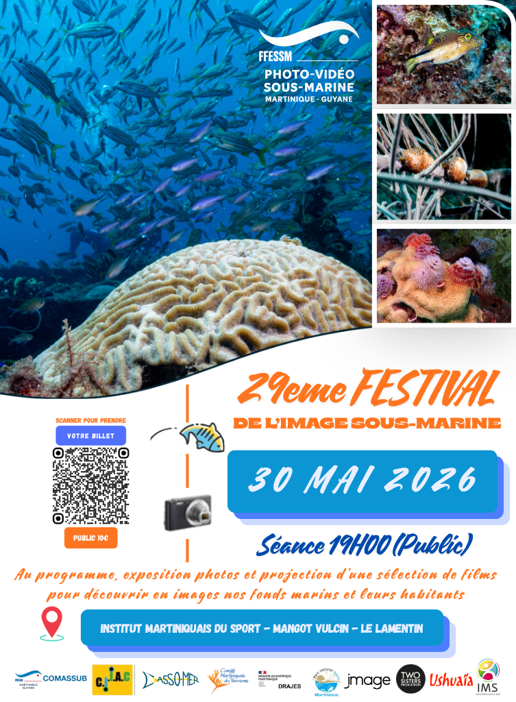 Festival martinique