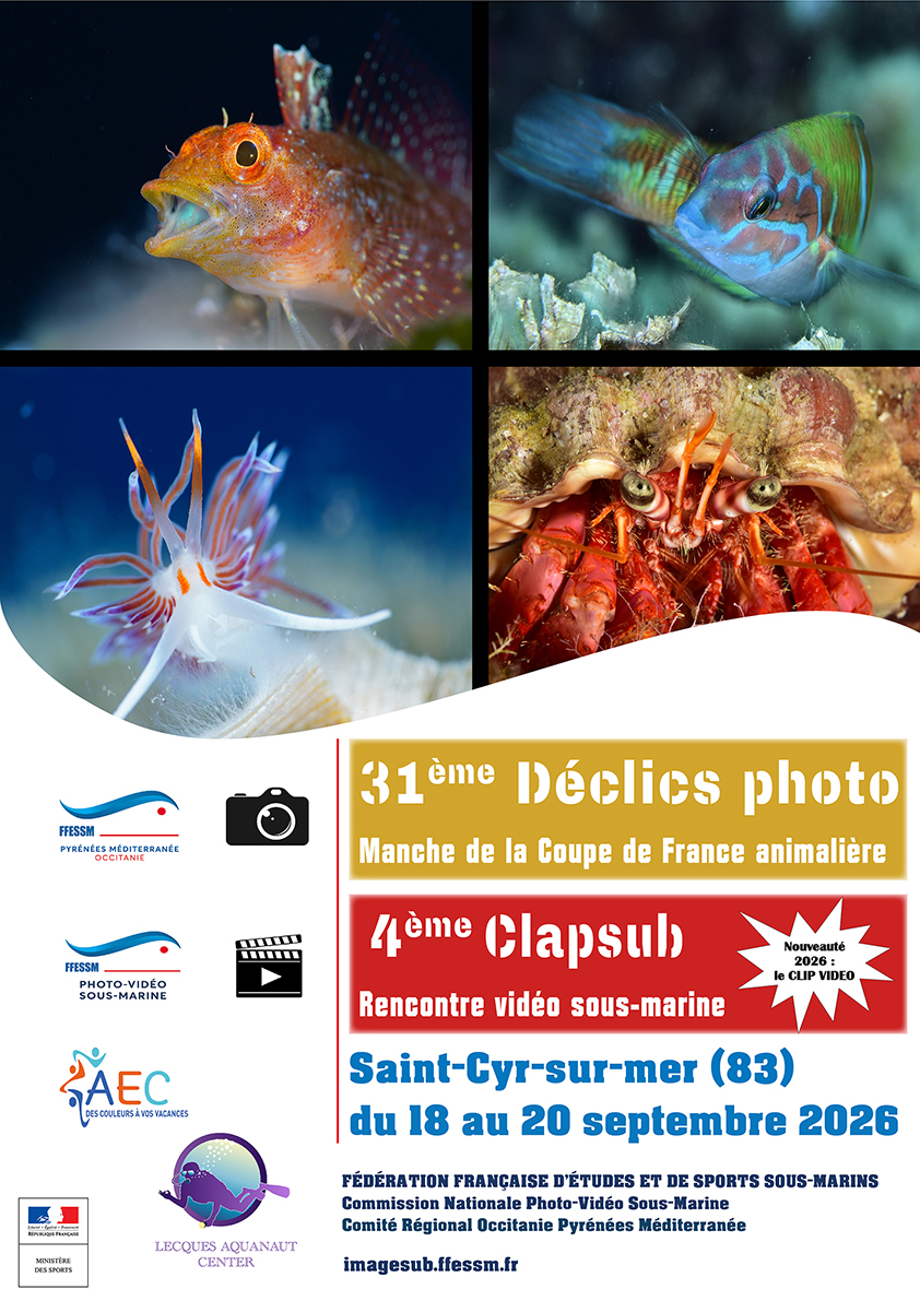 Affiche st cyr 2026